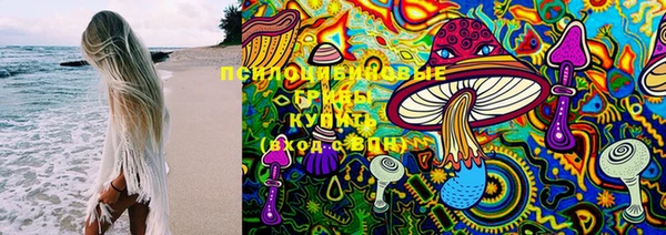 не бодяженный Алзамай