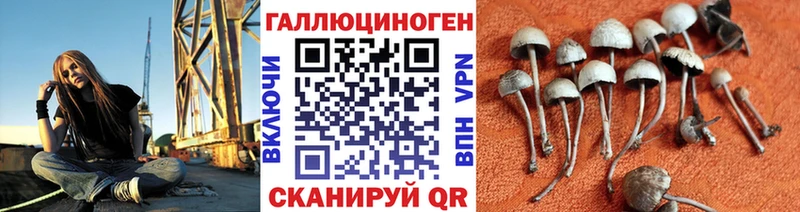 цены   блэк спрут зеркало  Псилоцибиновые грибы Psilocybine cubensis  Спасск-Рязанский 
